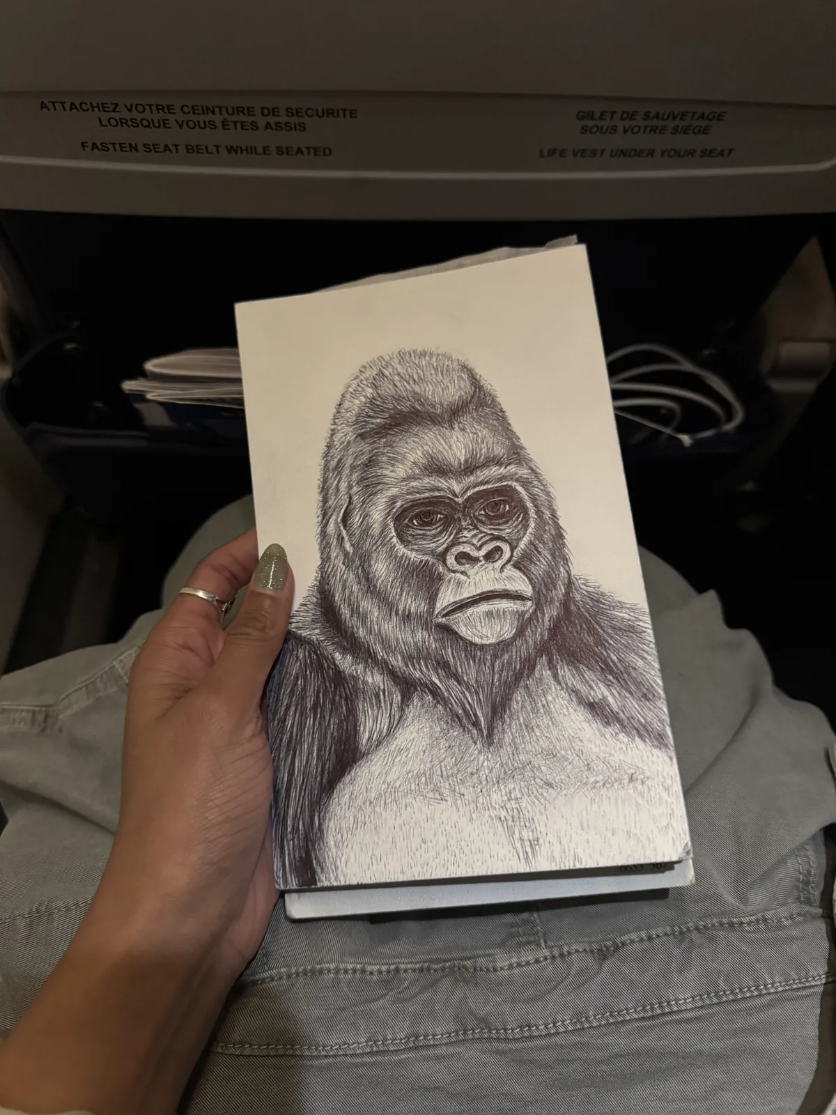A hand holding a sketchbook on a plane tray table, open to a ballpoint pen drawing of a silverback gorilla.