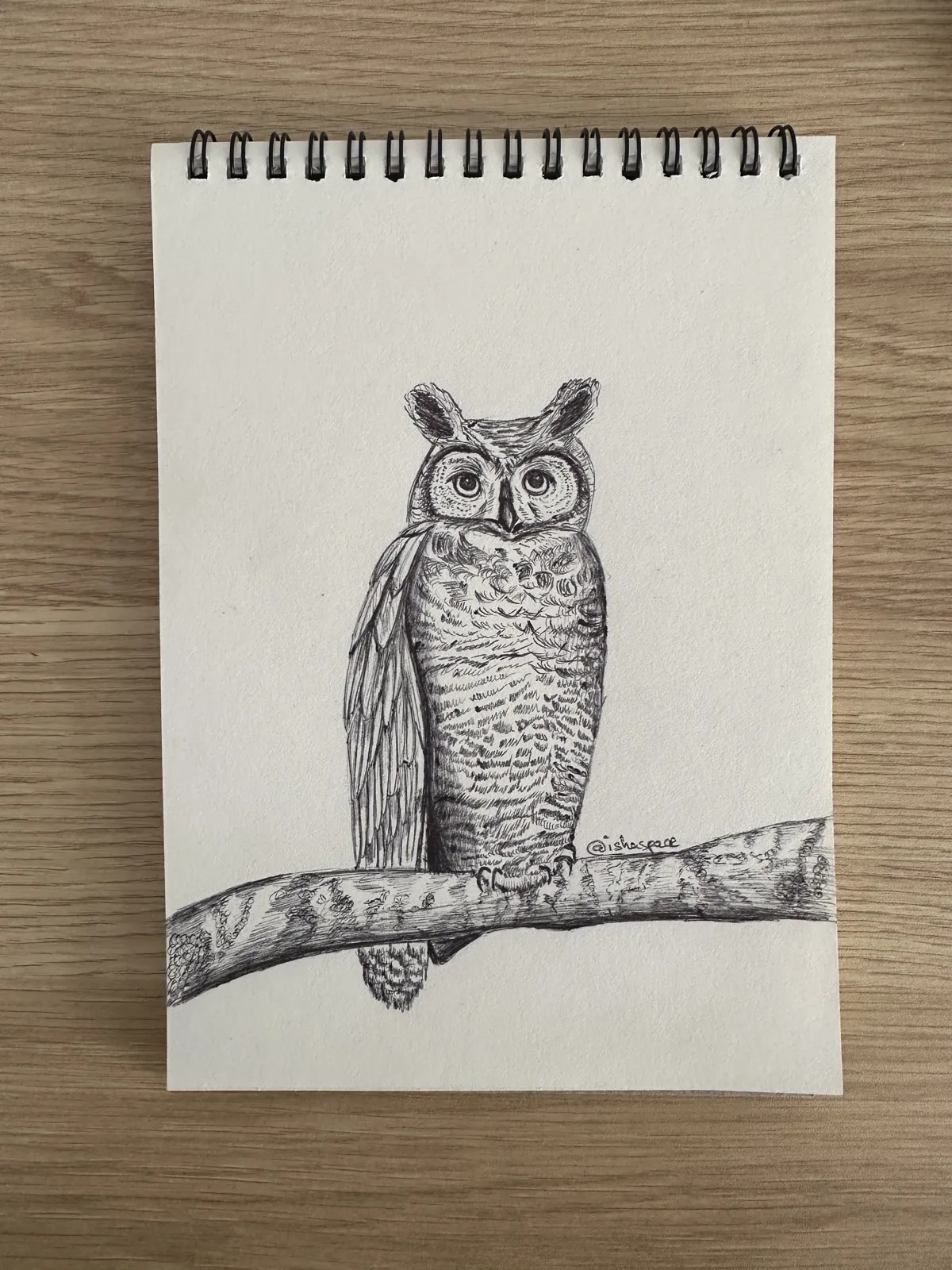 An open spiral sketchbook on a desk, with a pen drawing of an owl perched on a branch.